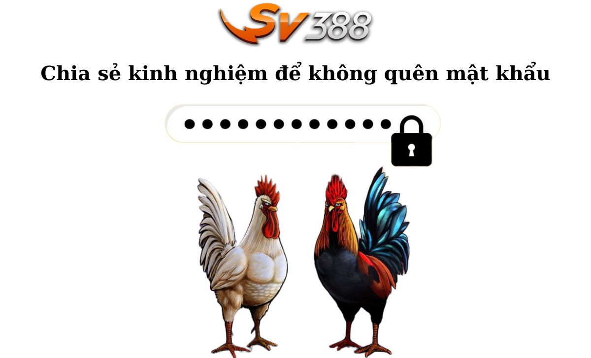 Cách xử lý khi quên mật khẩu SV388 